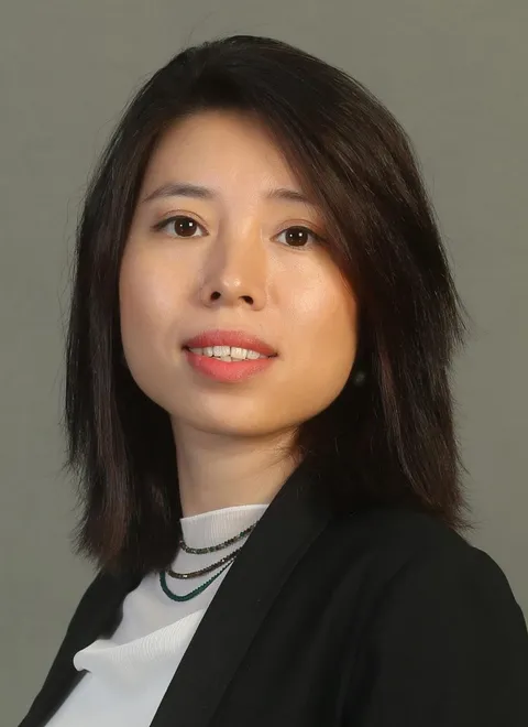 Ngan Nguyen, lawyer