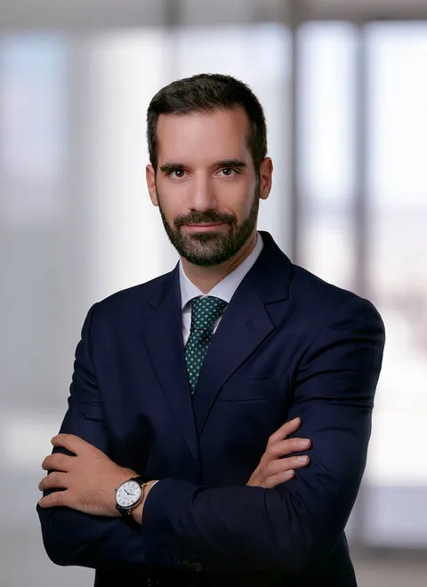 Nikolas Avgouleas, lawyer