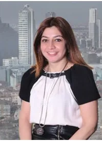 Efser Zeynep Ergun, lawyer