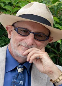 David J. Rotfleisch, lawyer