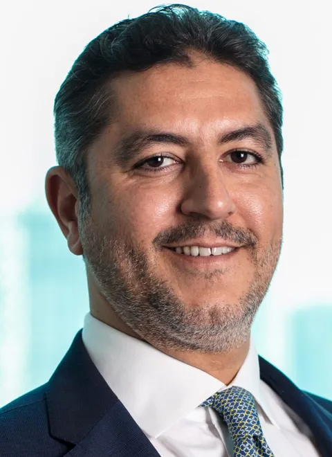 Sherif Hikal, lawyer