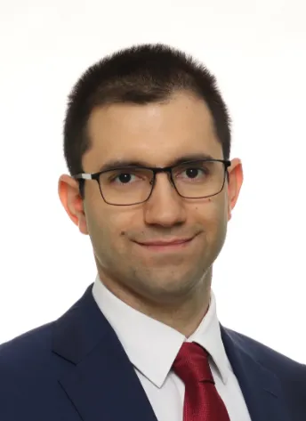 Stefan Pekić, lawyer