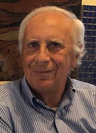 Fabio Greco, lawyer