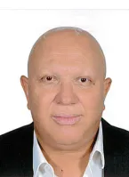 Jaouad Khayatey Houssaini, lawyer
