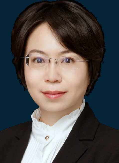 Fang Liu, lawyer