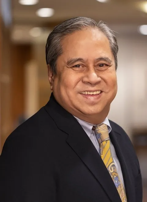 Cesar P. Manalaysay, lawyer