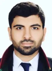 Ferhat Küle, lawyer