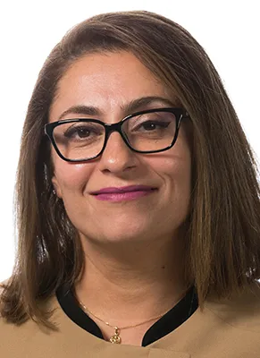 Ramina Dehkhoda-Steele, lawyer