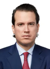 Simon Ott, lawyer