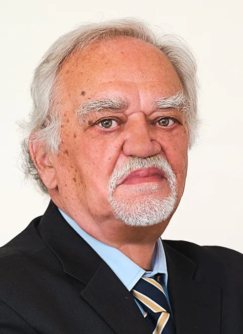 Massimo Lupi, lawyer