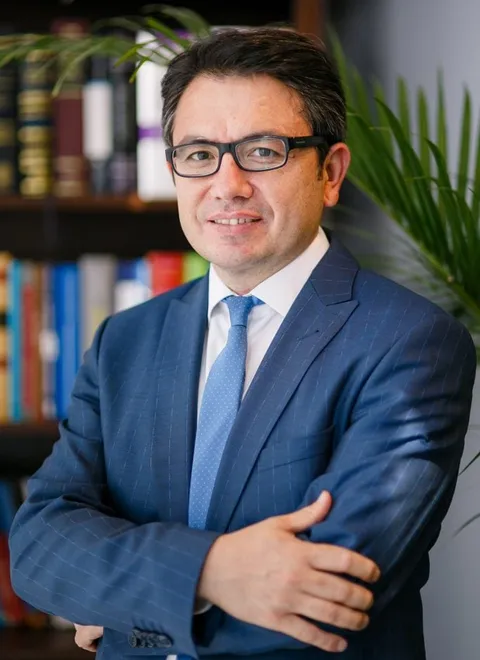 Zihni Gonen, lawyer