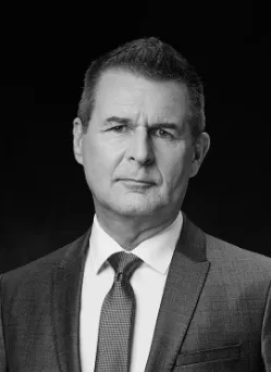 Dr. Alfred Hammerer, lawyer